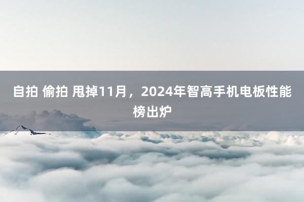 自拍 偷拍 甩掉11月，2024年智高手机电板性能榜出炉