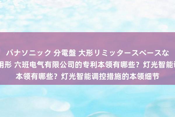 パナソニック 分電盤 大形リミッタースペースなし 露出・半埋込両用形 六班电气有限公司的专利本领有哪些？灯光智能调控措施的本领细节