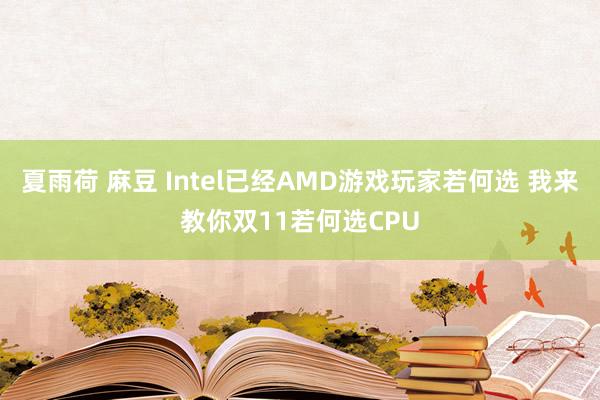 夏雨荷 麻豆 Intel已经AMD游戏玩家若何选 我来教你双11若何选CPU