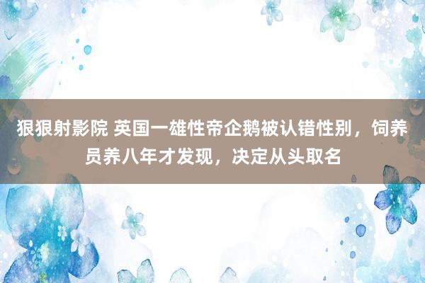 狠狠射影院 英国一雄性帝企鹅被认错性别，饲养员养八年才发现，决定从头取名