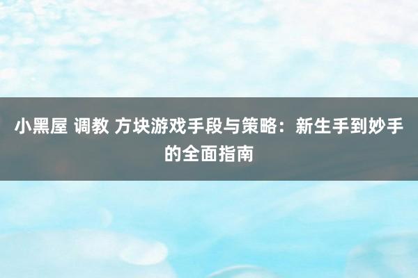 小黑屋 调教 方块游戏手段与策略：新生手到妙手的全面指南