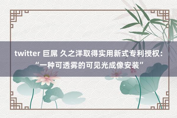 twitter 巨屌 久之洋取得实用新式专利授权：“一种可透雾的可见光成像安装”