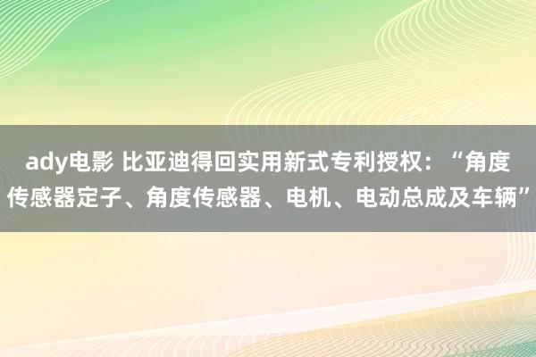 ady电影 比亚迪得回实用新式专利授权：“角度传感器定子、角度传感器、电机、电动总成及车辆”