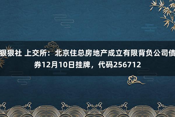 狠狠社 上交所：北京住总房地产成立有限背负公司债券12月10日挂牌，代码256712