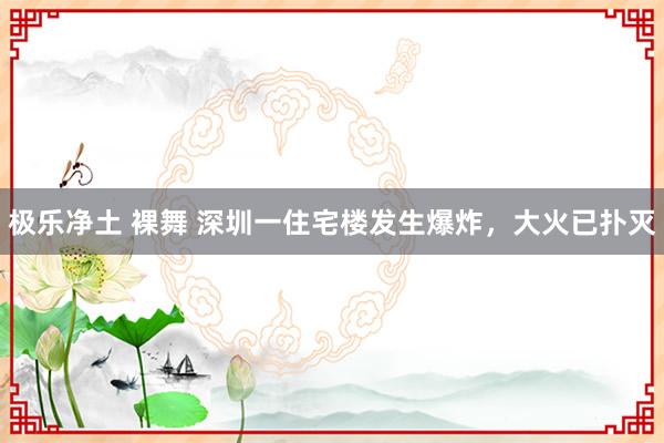 极乐净土 裸舞 深圳一住宅楼发生爆炸，大火已扑灭