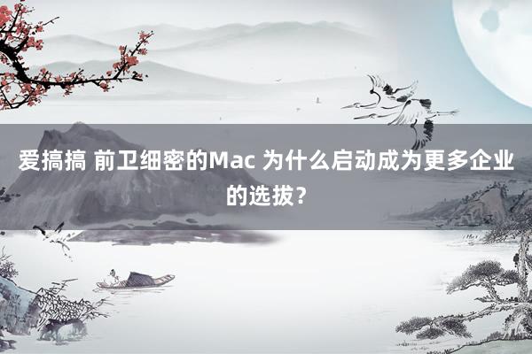 爱搞搞 前卫细密的Mac 为什么启动成为更多企业的选拔？