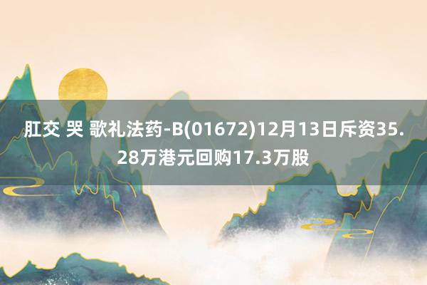 肛交 哭 歌礼法药-B(01672)12月13日斥资35.28万港元回购17.3万股