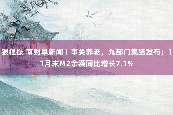 狠狠操 南财早新闻丨事关养老，九部门集结发布；11月末M2余额同比增长7.1%