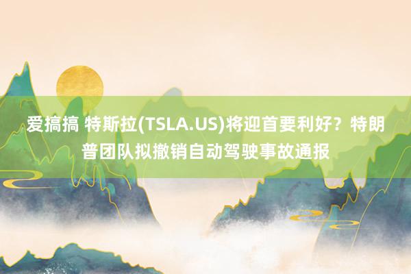 爱搞搞 特斯拉(TSLA.US)将迎首要利好？特朗普团队拟撤销自动驾驶事故通报