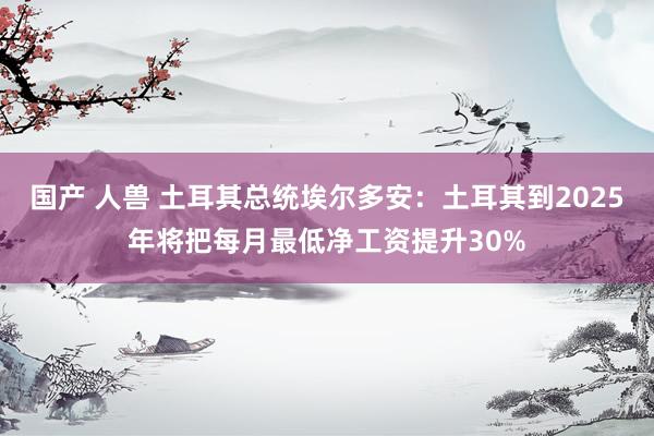 国产 人兽 土耳其总统埃尔多安：土耳其到2025年将把每月最低净工资提升30%