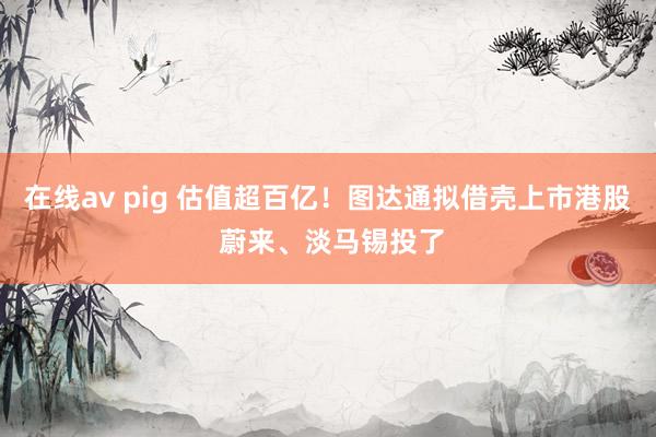 在线av pig 估值超百亿！图达通拟借壳上市港股 蔚来、淡马锡投了