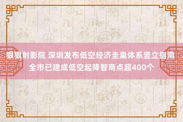 狠狠射影院 深圳发布低空经济圭臬体系竖立指南 全市已建成低空起降智商点超400个