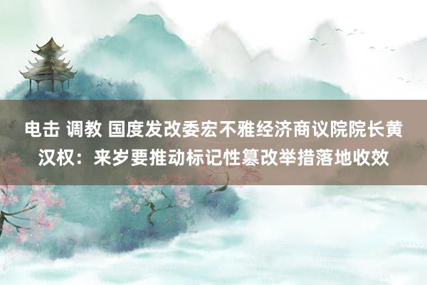 电击 调教 国度发改委宏不雅经济商议院院长黄汉权：来岁要推动标记性篡改举措落地收效