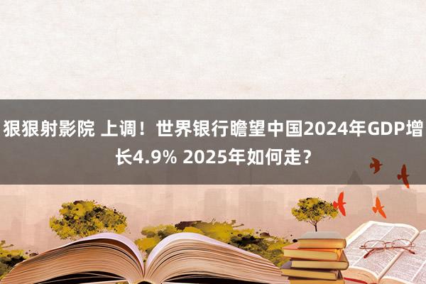 狠狠射影院 上调！世界银行瞻望中国2024年GDP增长4.9% 2025年如何走？