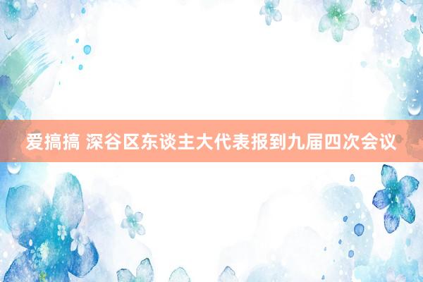 爱搞搞 深谷区东谈主大代表报到九届四次会议