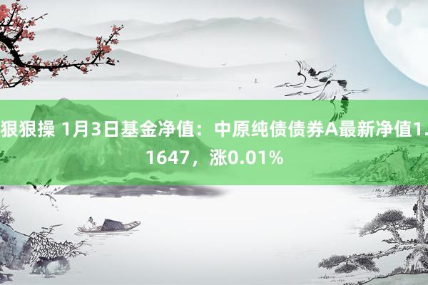 狠狠操 1月3日基金净值：中原纯债债券A最新净值1.1647，涨0.01%