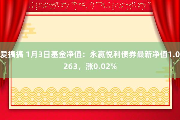 爱搞搞 1月3日基金净值：永赢悦利债券最新净值1.0263，涨0.02%