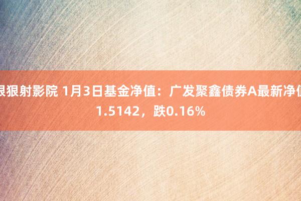 狠狠射影院 1月3日基金净值：广发聚鑫债券A最新净值1.5142，跌0.16%