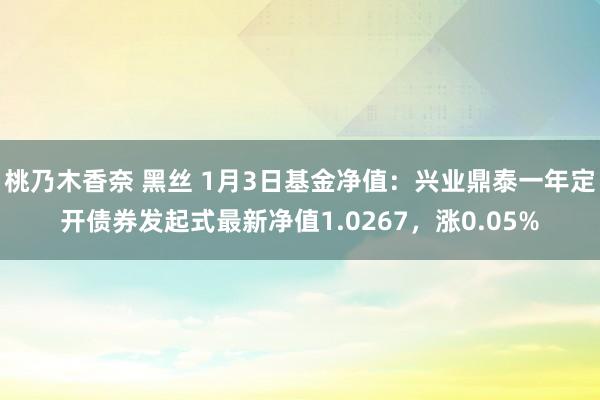 桃乃木香奈 黑丝 1月3日基金净值：兴业鼎泰一年定开债券发起式最新净值1.0267，涨0.05%