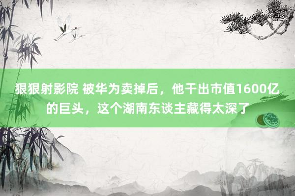 狠狠射影院 被华为卖掉后，他干出市值1600亿的巨头，这个湖南东谈主藏得太深了