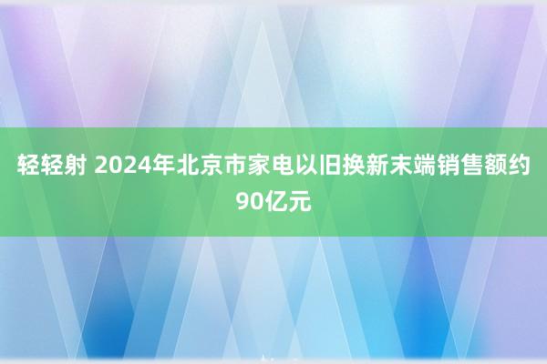 轻轻射 2024年北京市家电以旧换新末端销售额约90亿元