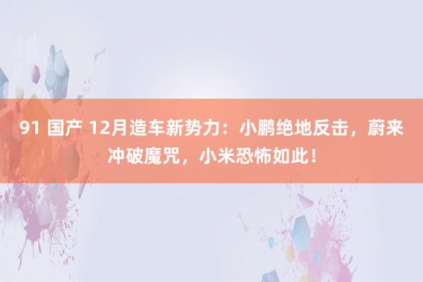 91 国产 12月造车新势力：小鹏绝地反击，蔚来冲破魔咒，小米恐怖如此！