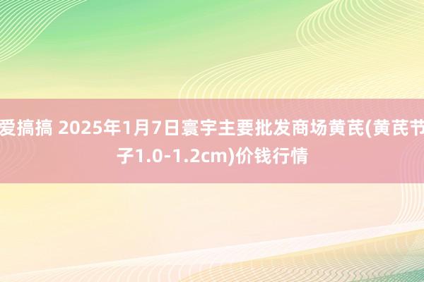 爱搞搞 2025年1月7日寰宇主要批发商场黄芪(黄芪节子1.0-1.2cm)价钱行情