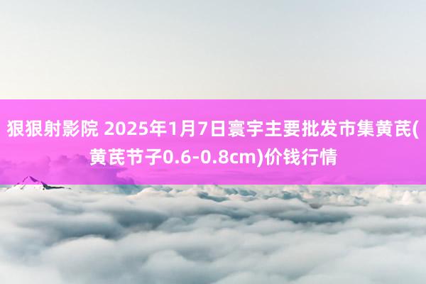 狠狠射影院 2025年1月7日寰宇主要批发市集黄芪(黄芪节子0.6-0.8cm)价钱行情