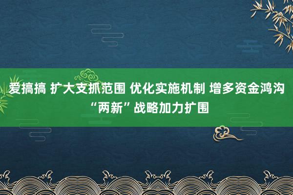 爱搞搞 扩大支抓范围 优化实施机制 增多资金鸿沟 “两新”战略加力扩围