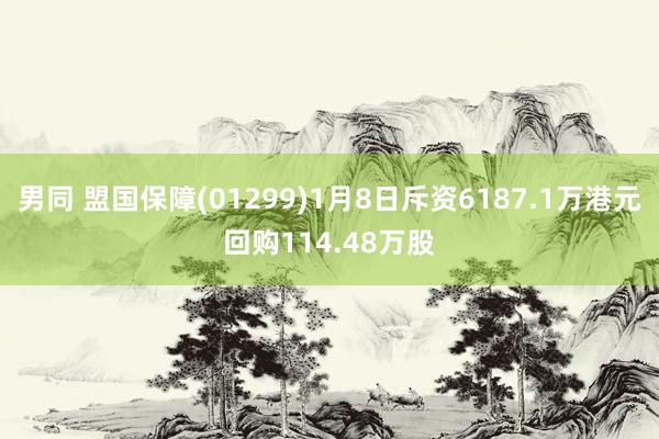 男同 盟国保障(01299)1月8日斥资6187.1万港元回购114.48万股