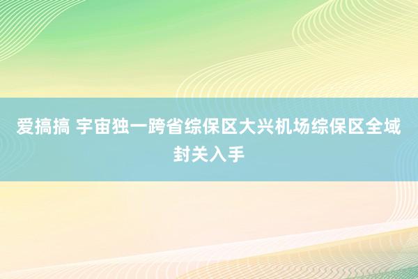 爱搞搞 宇宙独一跨省综保区大兴机场综保区全域封关入手