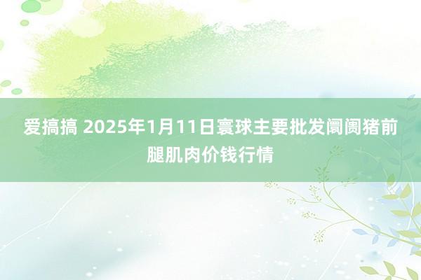 爱搞搞 2025年1月11日寰球主要批发阛阓猪前腿肌肉价钱行情