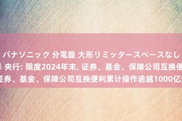 パナソニック 分電盤 大形リミッタースペースなし 露出・半埋込両用形 央行: 限度2024年末， 证券、基金、保障公司互换便利累计操作逾越1000亿元