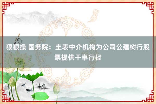 狠狠操 国务院：圭表中介机构为公司公建树行股票提供干事行径